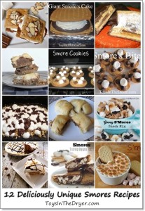 12 Smores Recipes