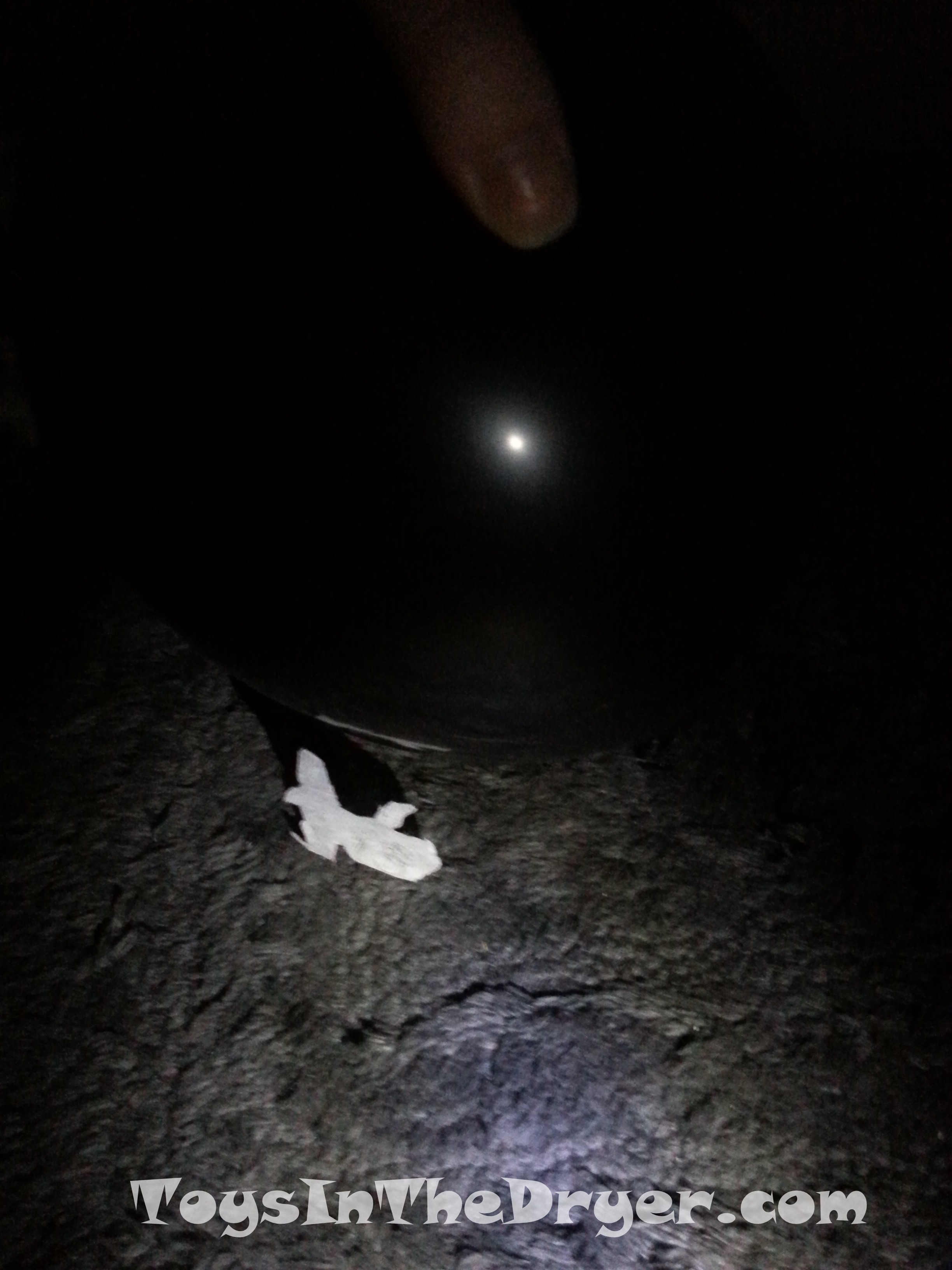 Magic Dancing Ghosts